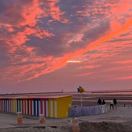 Joli 2 Pieces Au Coeur De Malo Proche De La ,la Maison Bleue Apartment Dunkirk